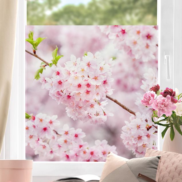 Adesivi floreali per vetri Fioriture di ciliegio giapponesi
