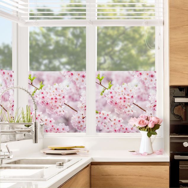 Pellicole colorate per vetri Fioriture di ciliegio giapponesi