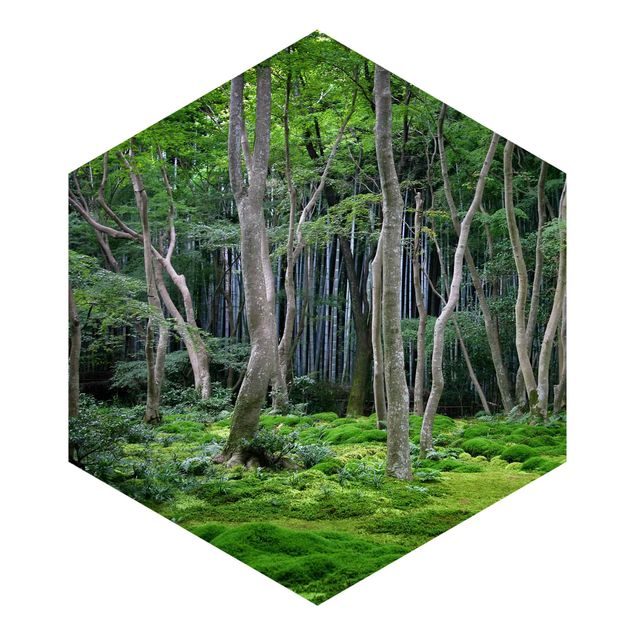 Carte da parati verdi Foresta giapponese