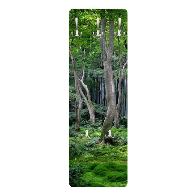 Appendiabiti - Japanese Forest