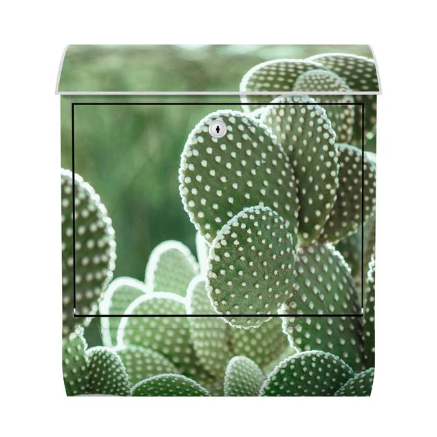 Cassette della posta verde Cactus