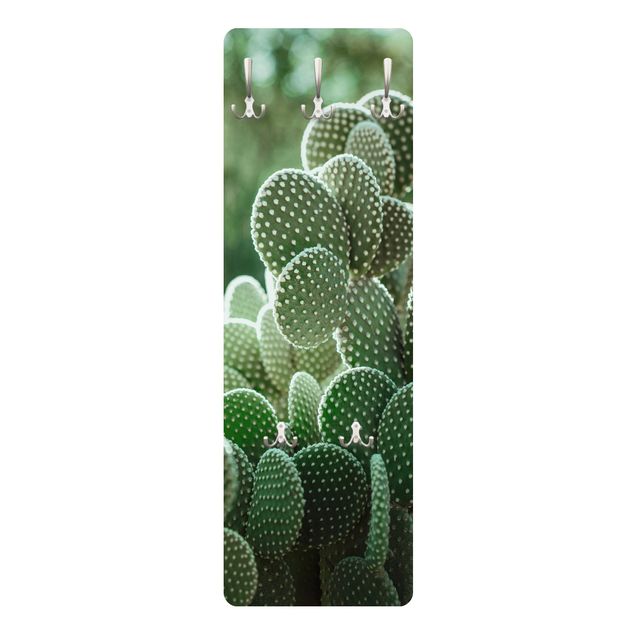 Appendiabiti - Cactus