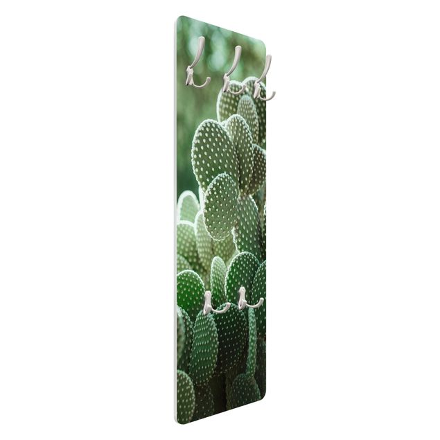 Appendiabiti - Cactus