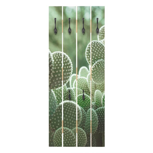 Appendiabiti Cactus