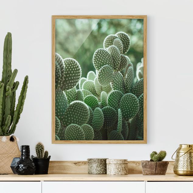 Quadri con cornice con fiori Cactus