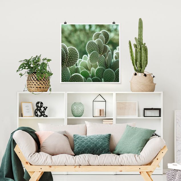 Quadri con fiori Cactus
