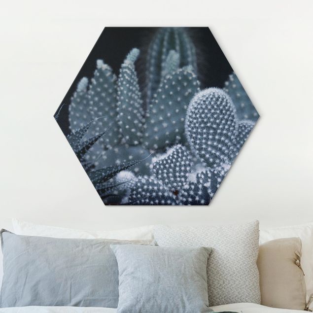 Quadri moderni   Famiglia di cactus di notte