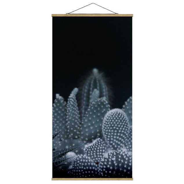 Quadri sfondo nero Famiglia di cactus di notte