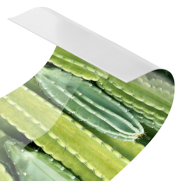 Rivestimento cucina - Parete di cactus