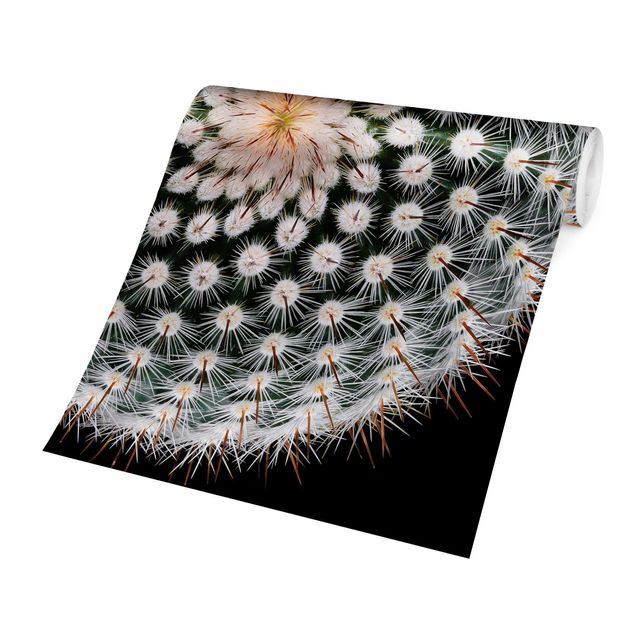 Carte da parati floreali Fiore di cactus