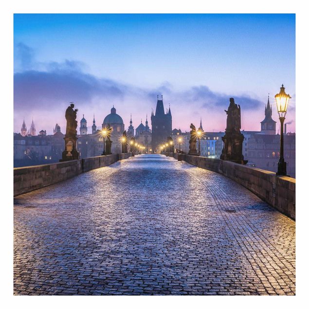 Quadri città Ponte Carlo a Praga