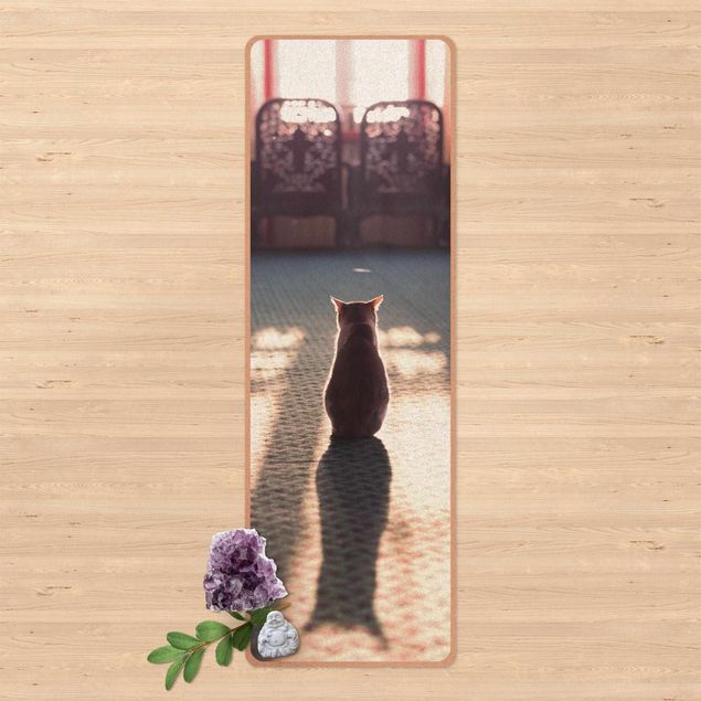 tappeto design moderno Gatto in un fascio di luce