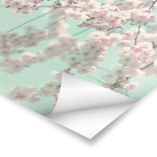Poster - Danza di fiori di ciliegio su struttura di lino