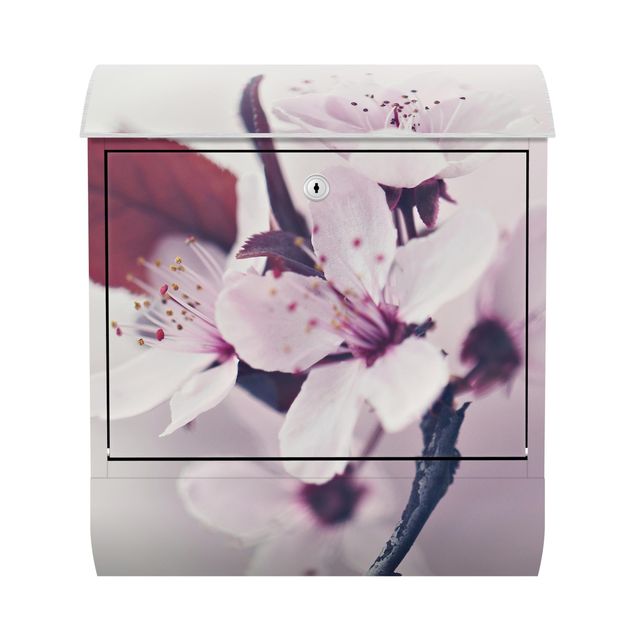 Cassette della posta rosa Ramo di fiori di ciliegio in rosa antico
