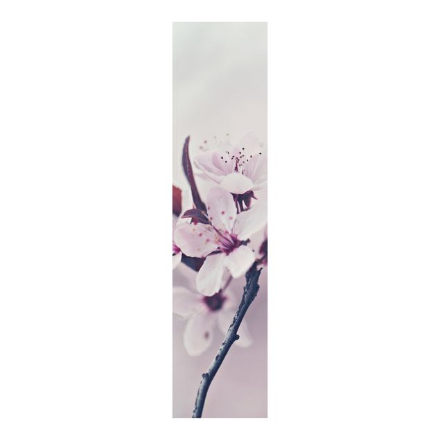 Quadri Monika Strigel Ramo di fiori di ciliegio in rosa antico