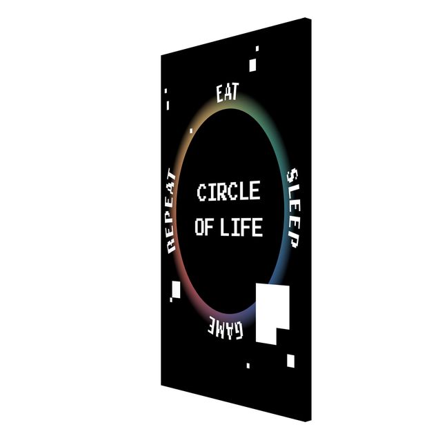 Quadri bianco e nero Videogioco classico Circle of Life