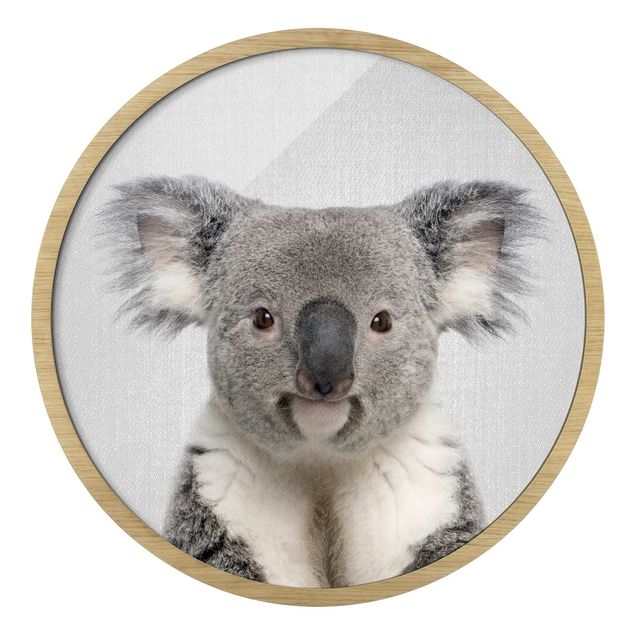 Quadri stampe Koala Klaus