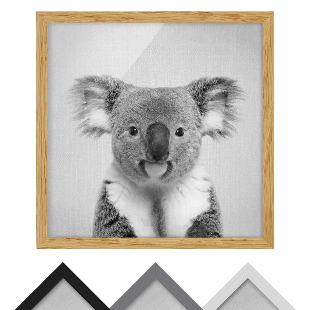 Poster con cornice Koala Klaus Bianco e Nero
