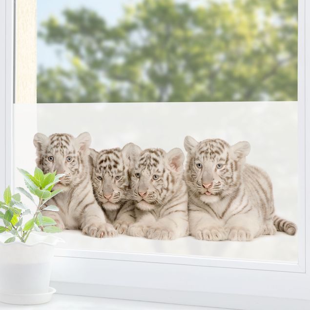 Decorazioni cameretta Bambini tigre del Bengala