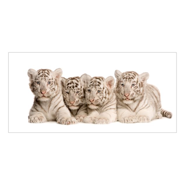 Adesivi per vetri con animali Bambini tigre del Bengala