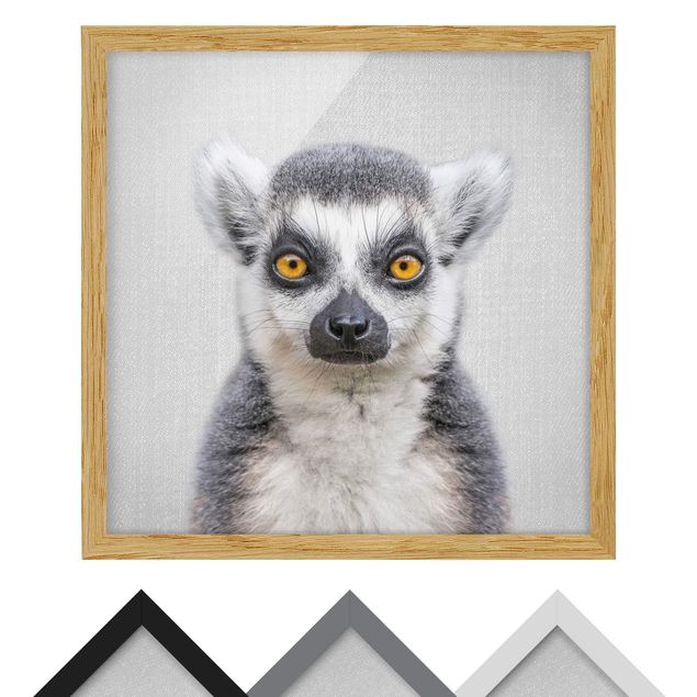 Quadri Lemure Ludwig