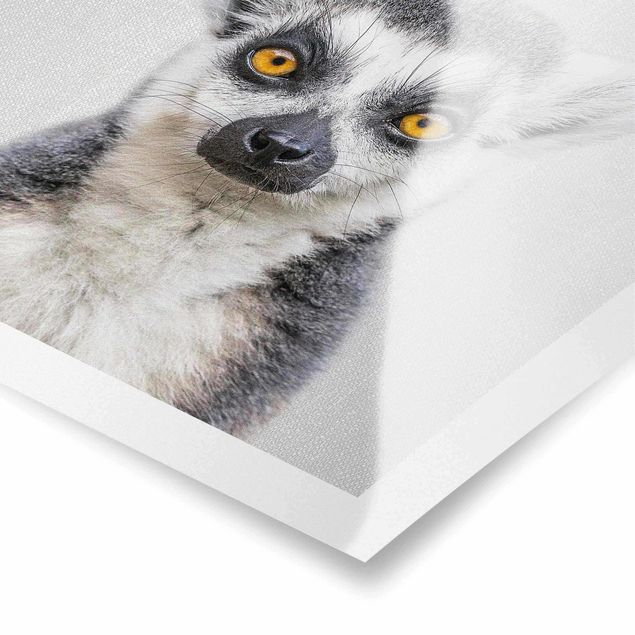 Poster bianco nero Lemure Ludwig