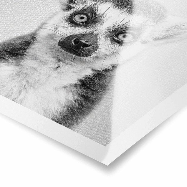Poster in bianco e nero Lemure Ludwig Bianco e Nero