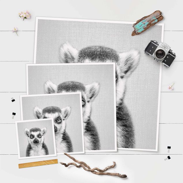 Poster da parete  Lemure Ludwig Bianco e Nero