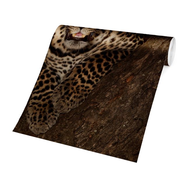 Carta da parati con animali Leopardo che riposa su un albero