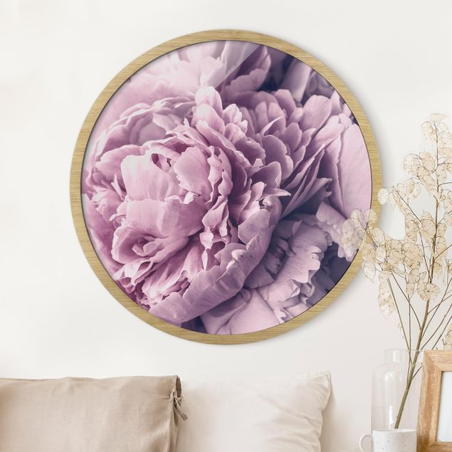 Quadri con cornice con fiori Fiori di peonia viola