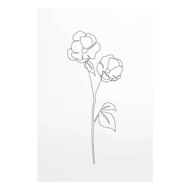 Quadri bianco e nero Fiori Line Art - Papavero in fiore