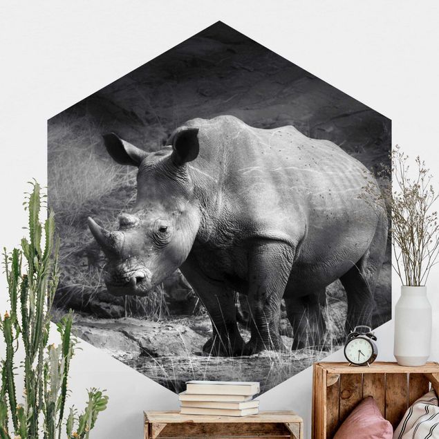 Carta da parati adesiva Rinoceronte solitario