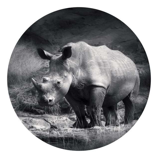 Carta da parati moderne Rinoceronte solitario