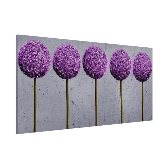 Lavagne magnetiche con fiori Allium fiore a testa tonda