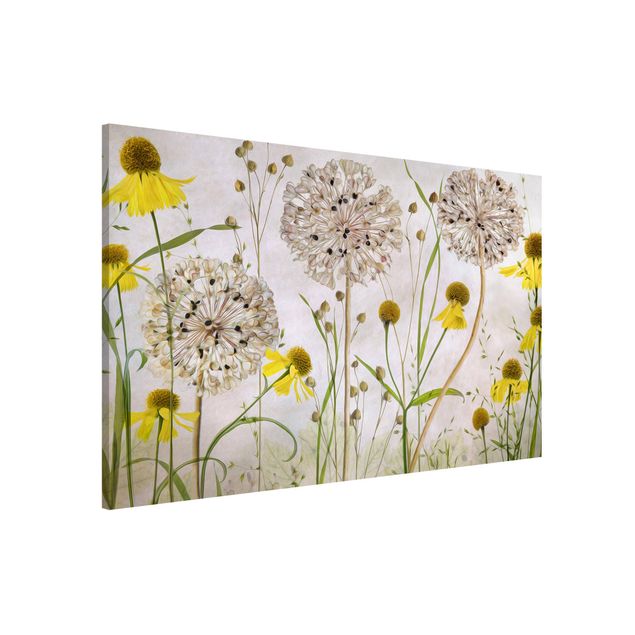 Lavagne magnetiche con fiori Illustrazione di Allium ed Helenium