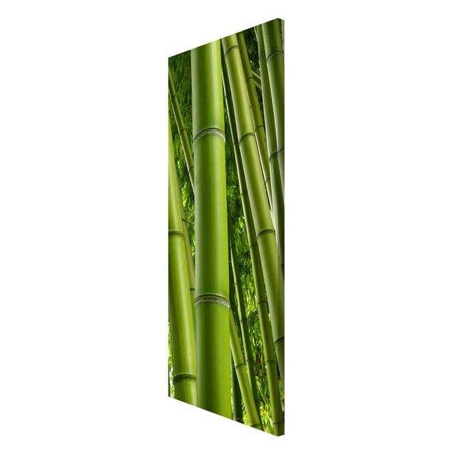 Quadri bamboo Alberi di bambù