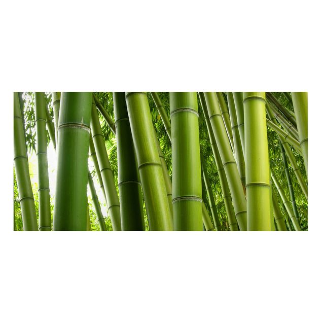 Quadri alberi Alberi di bambù