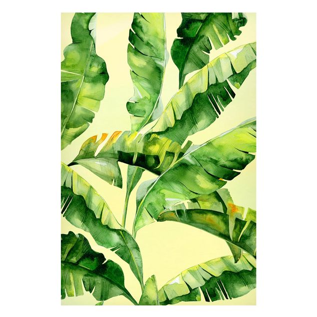 Quadro moderno Acquerello sulle foglie di banano