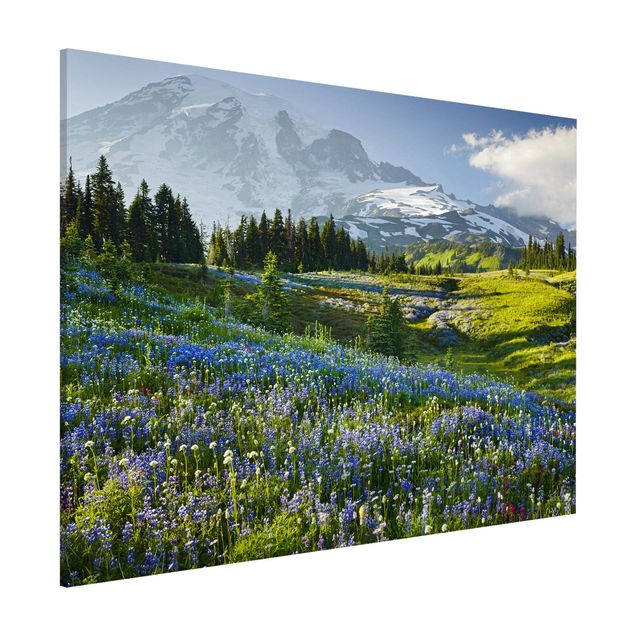 Quadri con paesaggio Prato di montagna con fiori blu davanti al monte Rainier