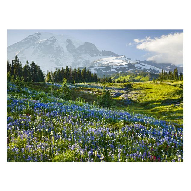 Quadri alberi Prato di montagna con fiori blu davanti al monte Rainier