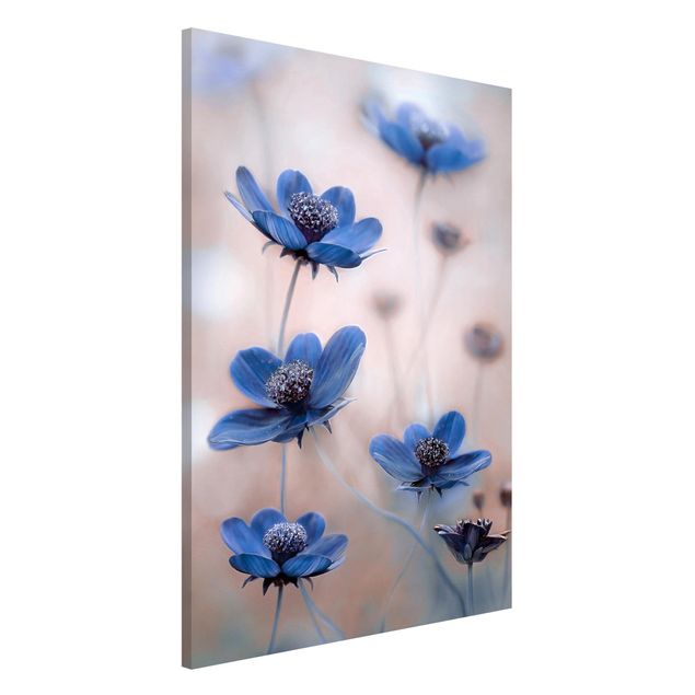 Lavagne magnetiche con fiori Cosmo blu