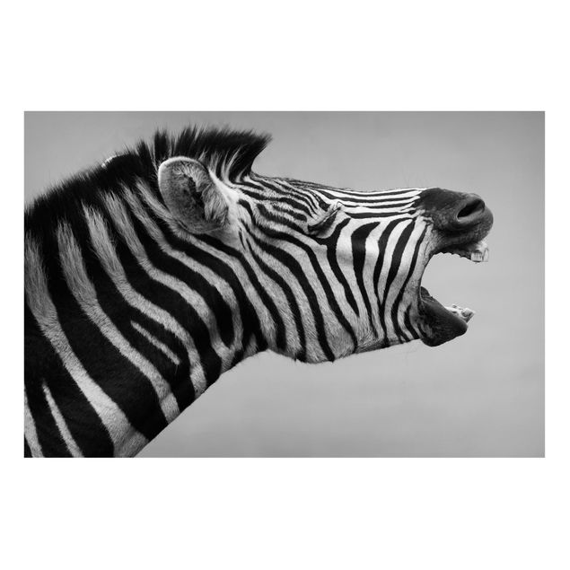 Quadri zebra Zebra ruggente ll