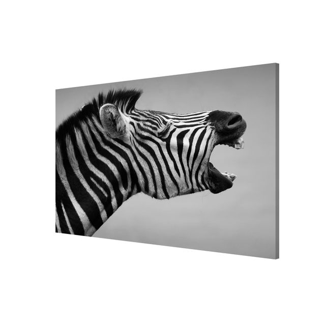 Quadri moderni   Zebra ruggente ll