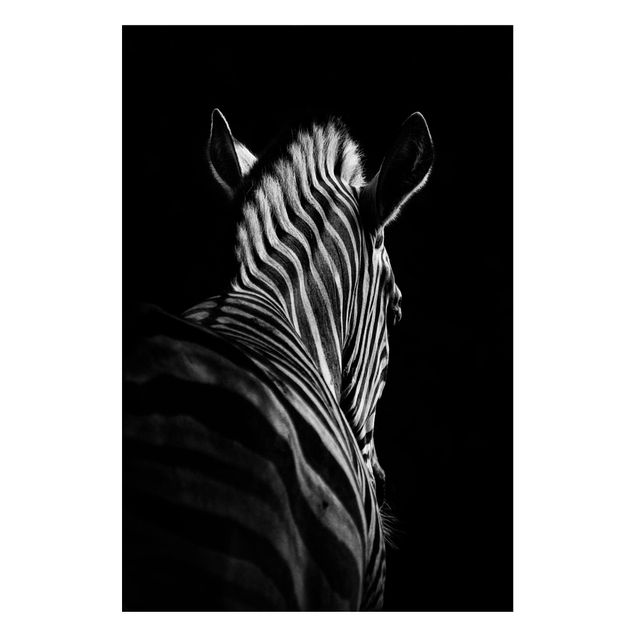 Quadri moderni per arredamento Silhouette Zebra scuro