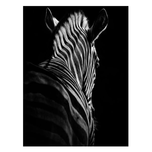 Quadro moderno Silhouette Zebra scuro