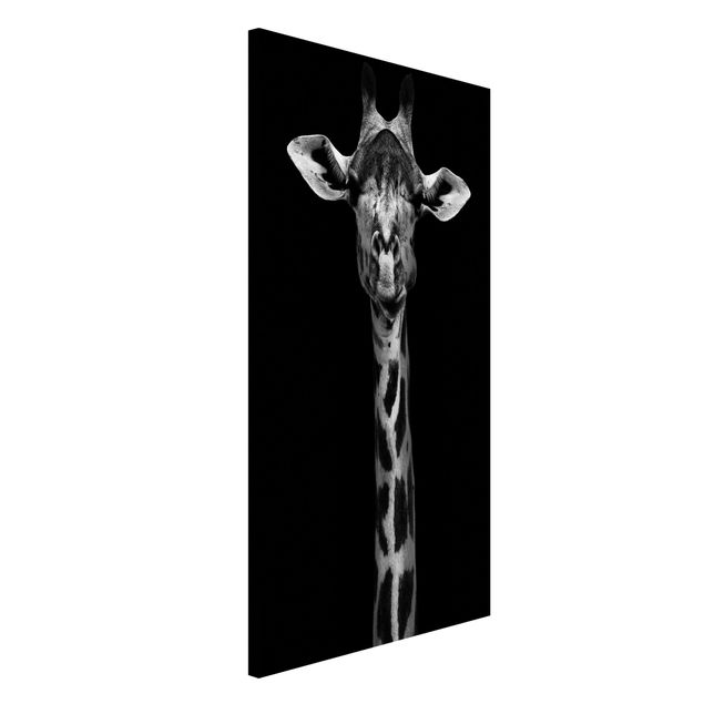 Quadro Africa Ritratto di giraffa scura