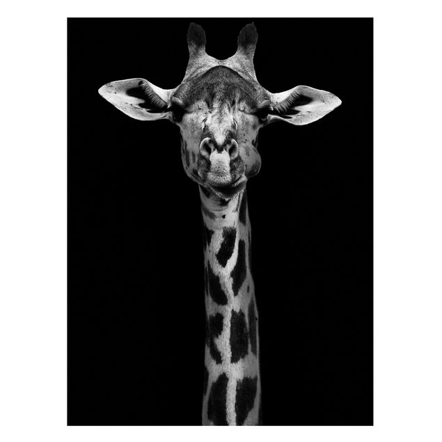 Quadro giraffe Ritratto di giraffa scura