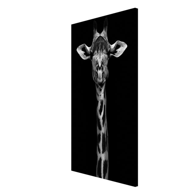 Quadro moderno Ritratto di giraffa scura