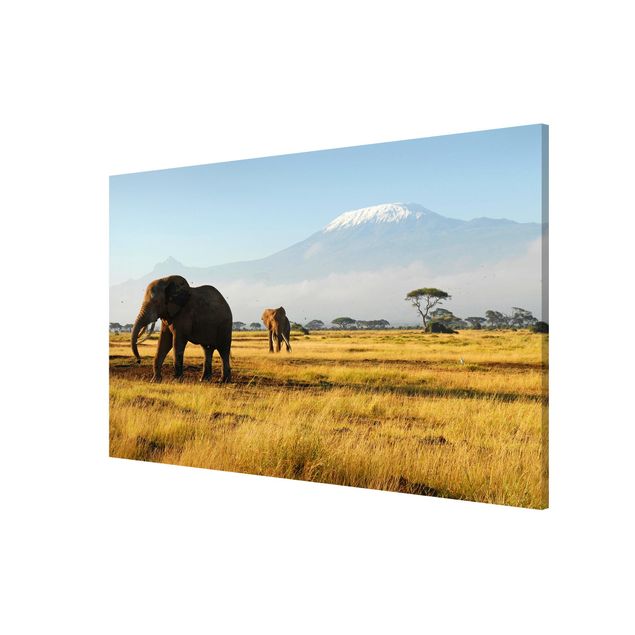 Quadri con elefanti Elefanti di fronte al Kilimangiaro in Kenya