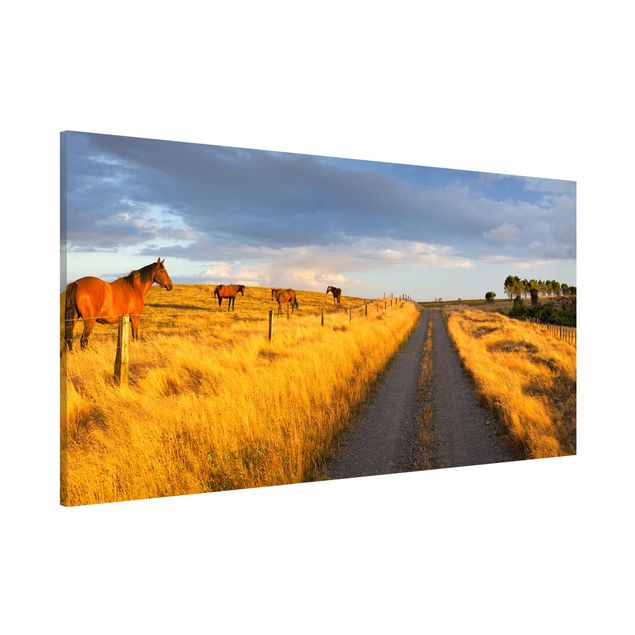 Quadri con paesaggio Strada di campo e cavallo nel sole della sera